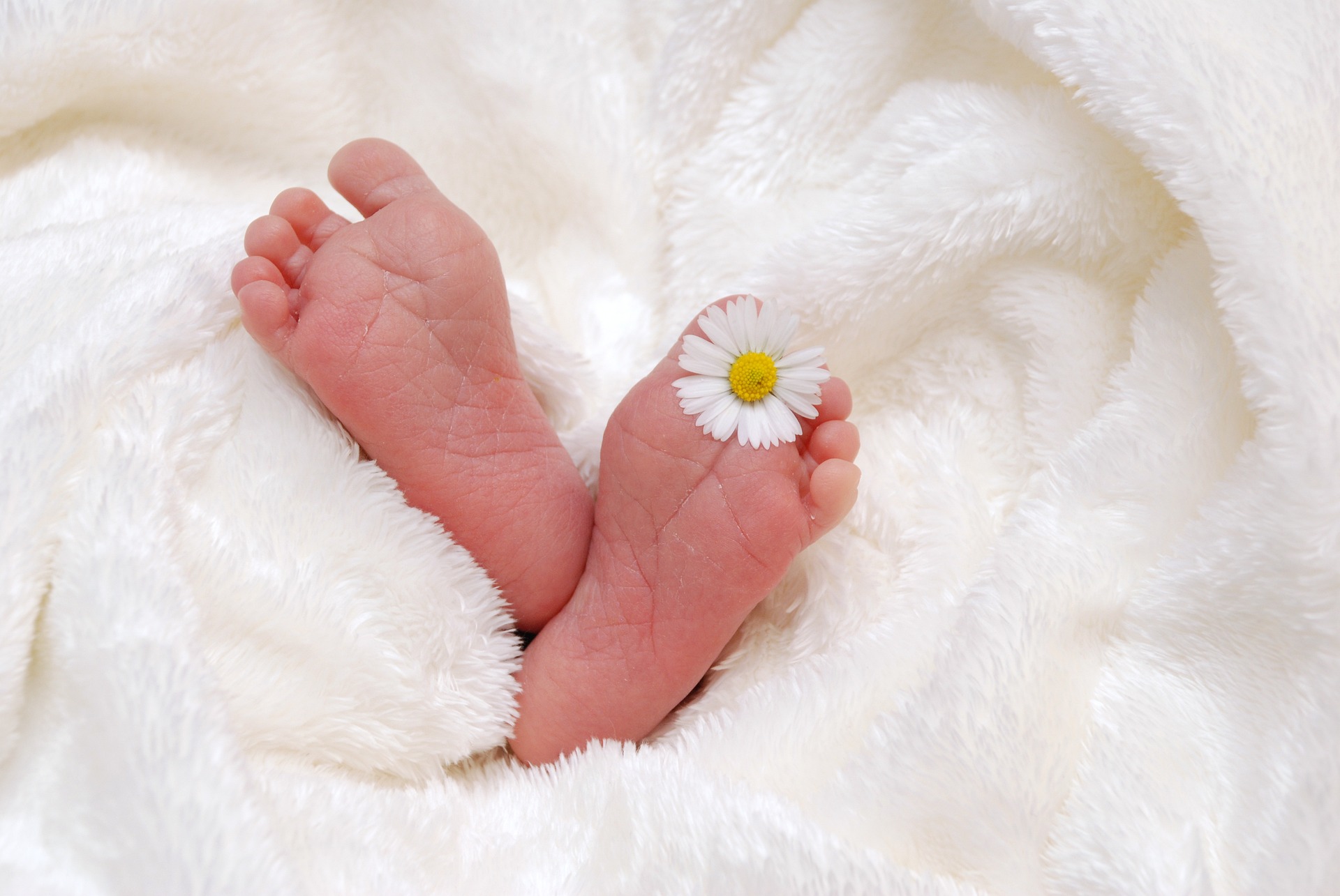 A Baby Sprinkling for Sister Francis